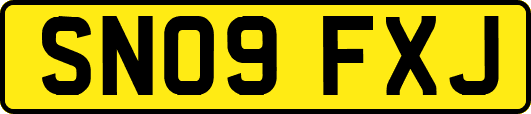 SN09FXJ