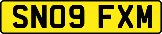 SN09FXM