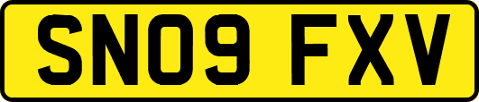 SN09FXV