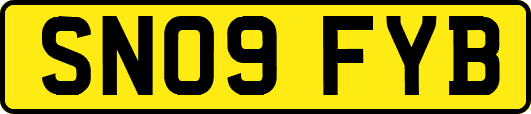 SN09FYB
