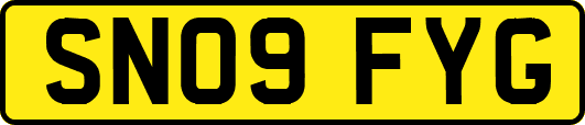 SN09FYG