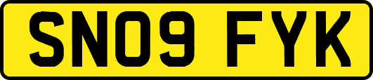 SN09FYK