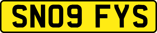 SN09FYS