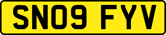 SN09FYV