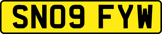 SN09FYW