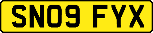 SN09FYX