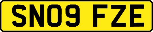 SN09FZE
