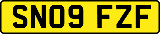SN09FZF