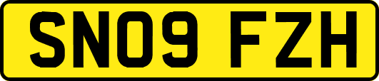 SN09FZH