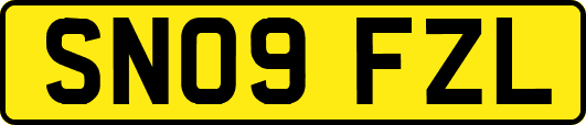 SN09FZL