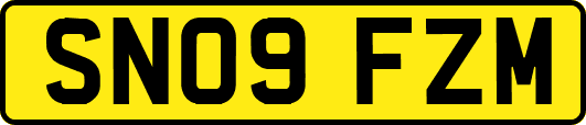SN09FZM