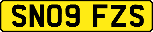 SN09FZS