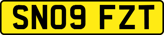 SN09FZT