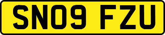 SN09FZU