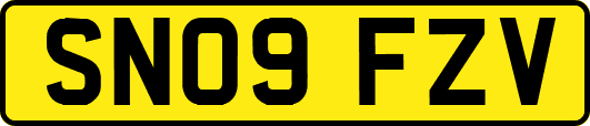 SN09FZV