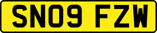 SN09FZW