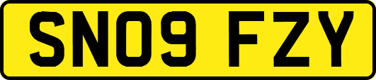 SN09FZY