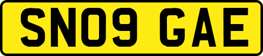 SN09GAE