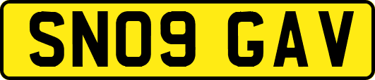 SN09GAV