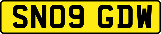 SN09GDW
