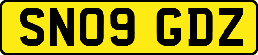 SN09GDZ