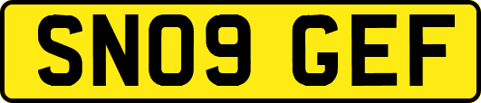 SN09GEF