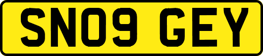 SN09GEY