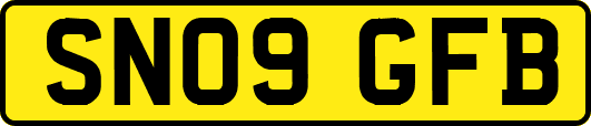 SN09GFB