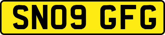 SN09GFG