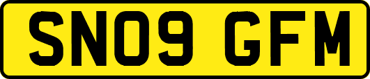 SN09GFM