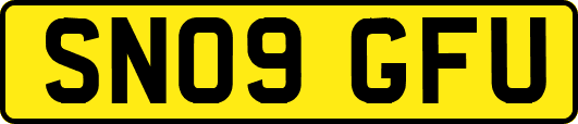 SN09GFU