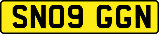 SN09GGN