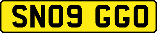 SN09GGO