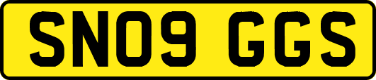 SN09GGS