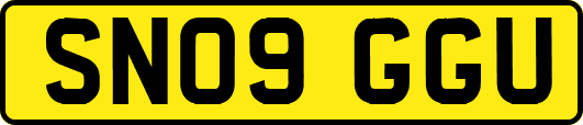 SN09GGU