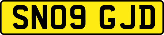 SN09GJD