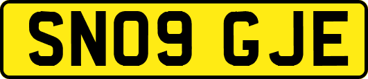 SN09GJE