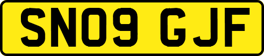 SN09GJF