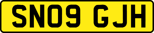 SN09GJH