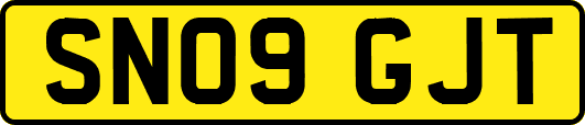 SN09GJT
