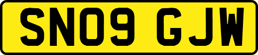 SN09GJW