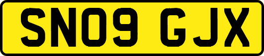 SN09GJX