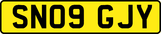 SN09GJY