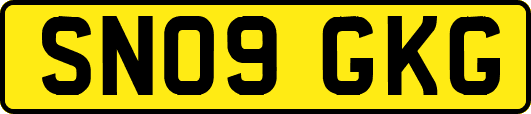 SN09GKG