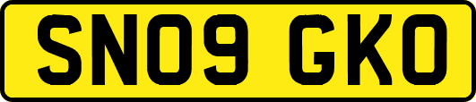 SN09GKO