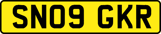 SN09GKR
