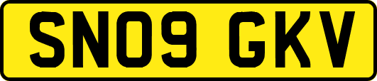 SN09GKV