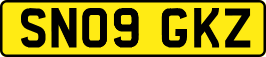 SN09GKZ