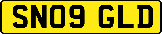 SN09GLD