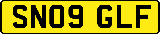 SN09GLF